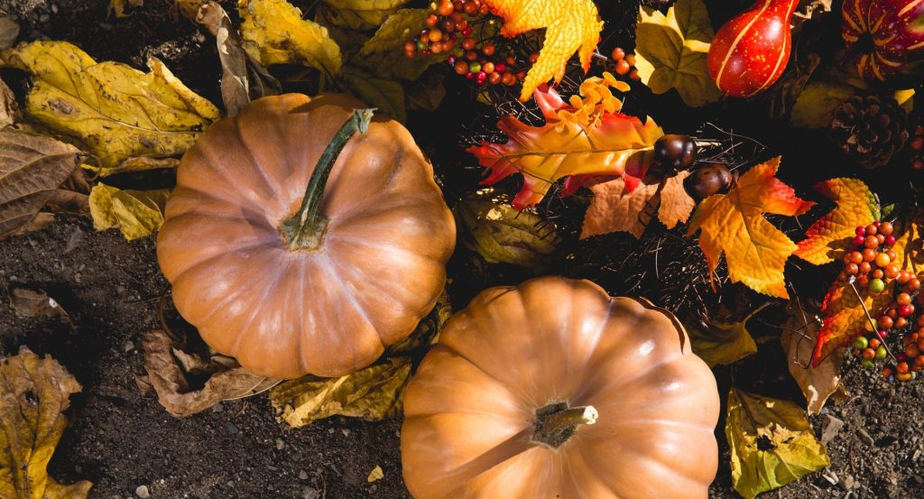 thanksgiving marketing ideas for entrepreneurs