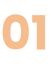 asset-1@2x